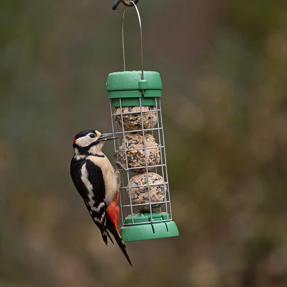 BL2-B1G &QUOT;BIRD LOVERS&QUOT; COMEDERO TUBULAR PARA AVES SILVESTRES PARA 3 BOLAS DE SEBO 3