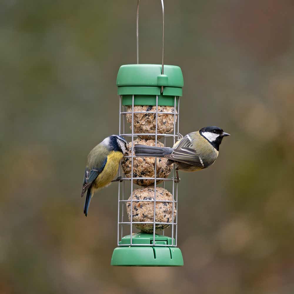 BL2-B1G &QUOT;BIRD LOVERS&QUOT; COMEDERO TUBULAR PARA AVES SILVESTRES PARA 3 BOLAS DE SEBO 2