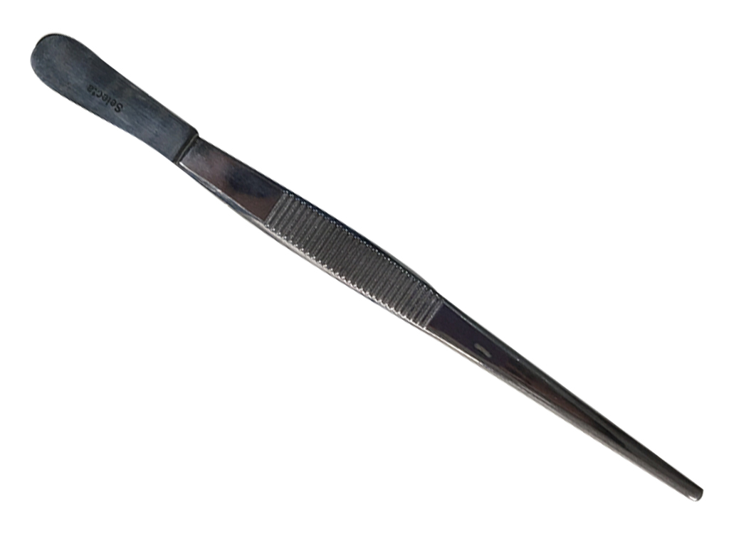 PINZAS DE DISECCIÓN RECTAS 14 CM 3