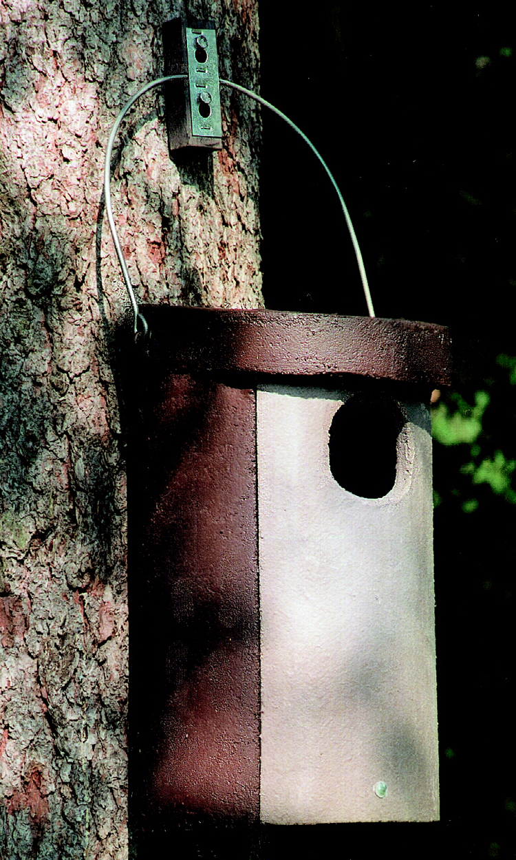 Nº 4 CAJA NIDO PARA MOCHUELO BOREAL 1
