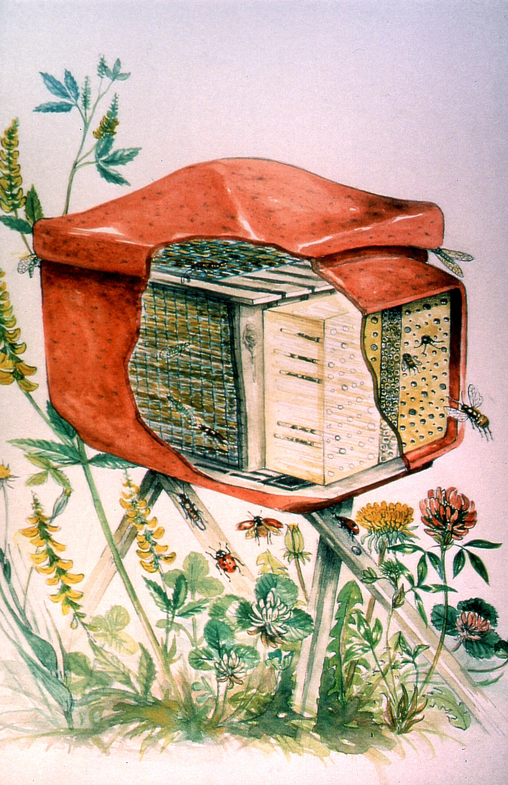 HOTEL &QUOT;INSECT COMBI&QUOT; CON SOPORTE PARA DISTINTAS ESPECIES DE INSECTOS 4