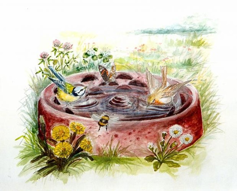 BEBEDERO-BAÑERA DE JARDÍN PARA AVES SILVESTRES 2