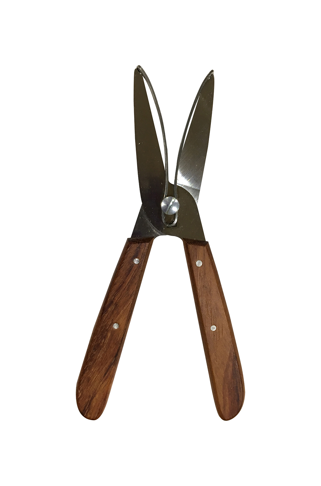 TIJERAS DE JARDÍN VICTORINOX 1