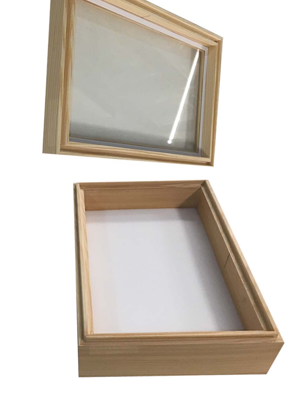 CAJA ENTOMOLÓGICA DE MADERA 15X23X6 CM 2