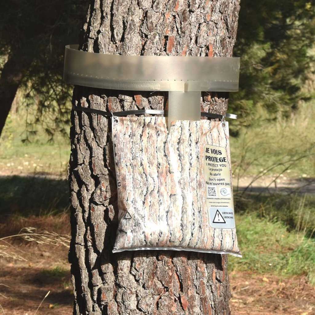 ECOPIEGE 30CM TRAMPA COLLAR PARA EL CONTROL DE LA ORUGA DE LA PROCESIONARIA 1