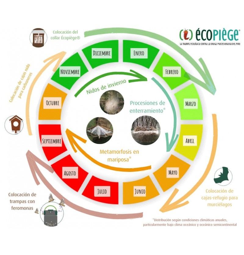 ECOPIEGE 30CM TRAMPA COLLAR PARA EL CONTROL DE LA ORUGA DE LA PROCESIONARIA 3