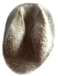MOLDE HUELLA CAPREOLUS CAPREOLUS (CORZO, CABIROL, ORKATZ) 1