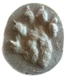 MOLDE HUELLA PIE LUTRA LUTRA (NUTRIA, LLÚDRIGA, LONDRA, IGARABA ARRUNTA) 1
