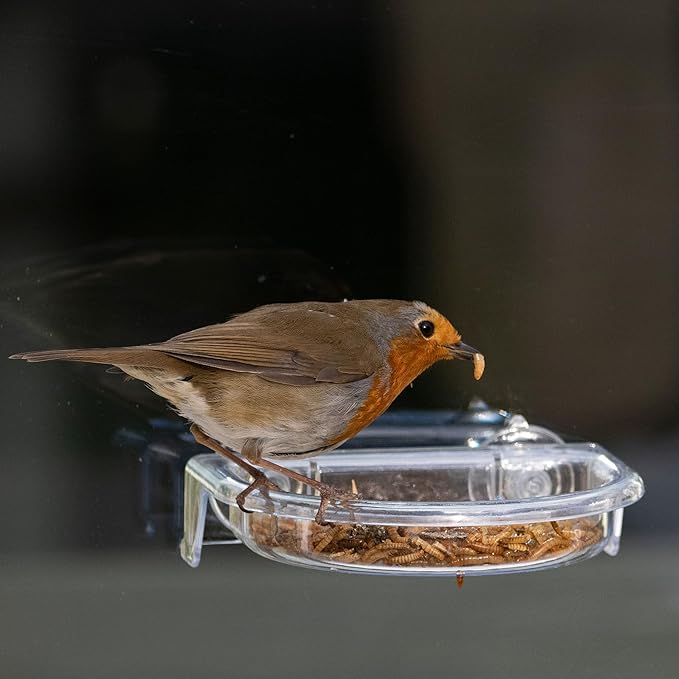 ILR-TT COMEDERO VENTANA &QUOT;ROBINS TREAT TRAY&QUOT; 4