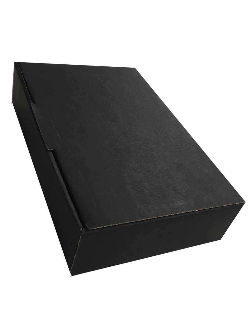 CAJA DE CARTÓN CON BASE DE FOAM PARA GUARDAR INSECTOS 1