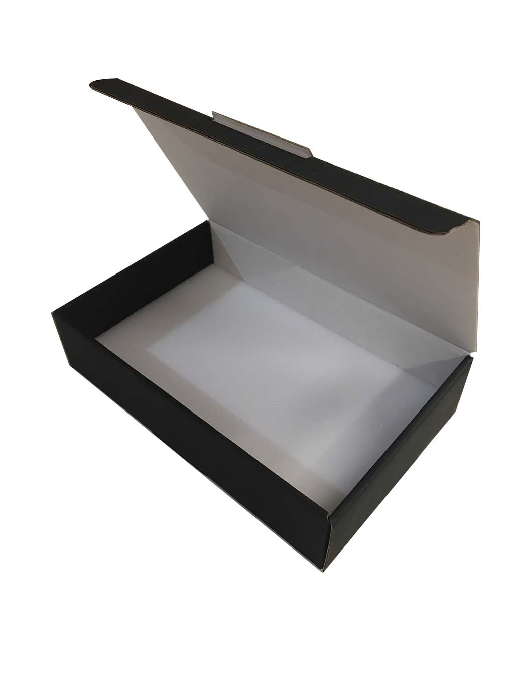 CAJA DE CARTÓN CON BASE DE FOAM PARA GUARDAR INSECTOS 2