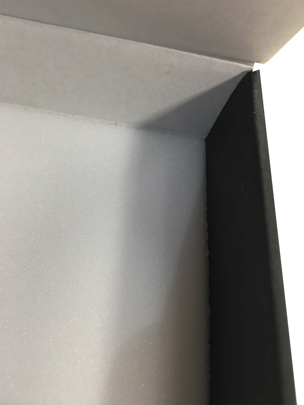CAJA DE CARTÓN CON BASE DE FOAM PARA GUARDAR INSECTOS 3