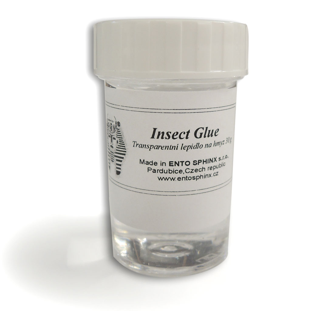 INSECT GLUE. PEGAMENTO TRANSPARENTE UNIVERSAL PARA INSECTOS 1