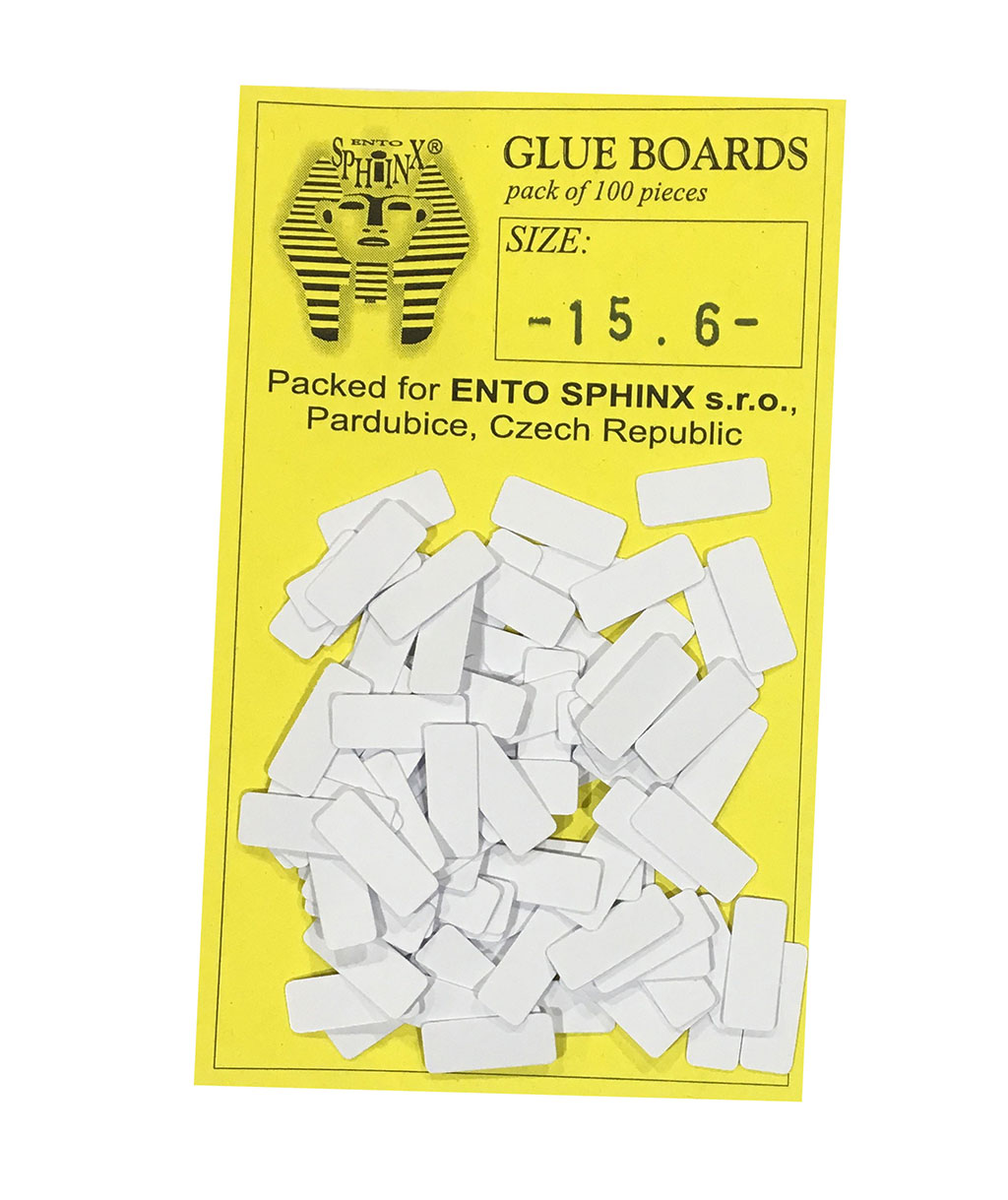 ETIQUETAS ENTOMOLÓGICAS DE MONTAJE PAPEL BRISTOL 8 X 4 1