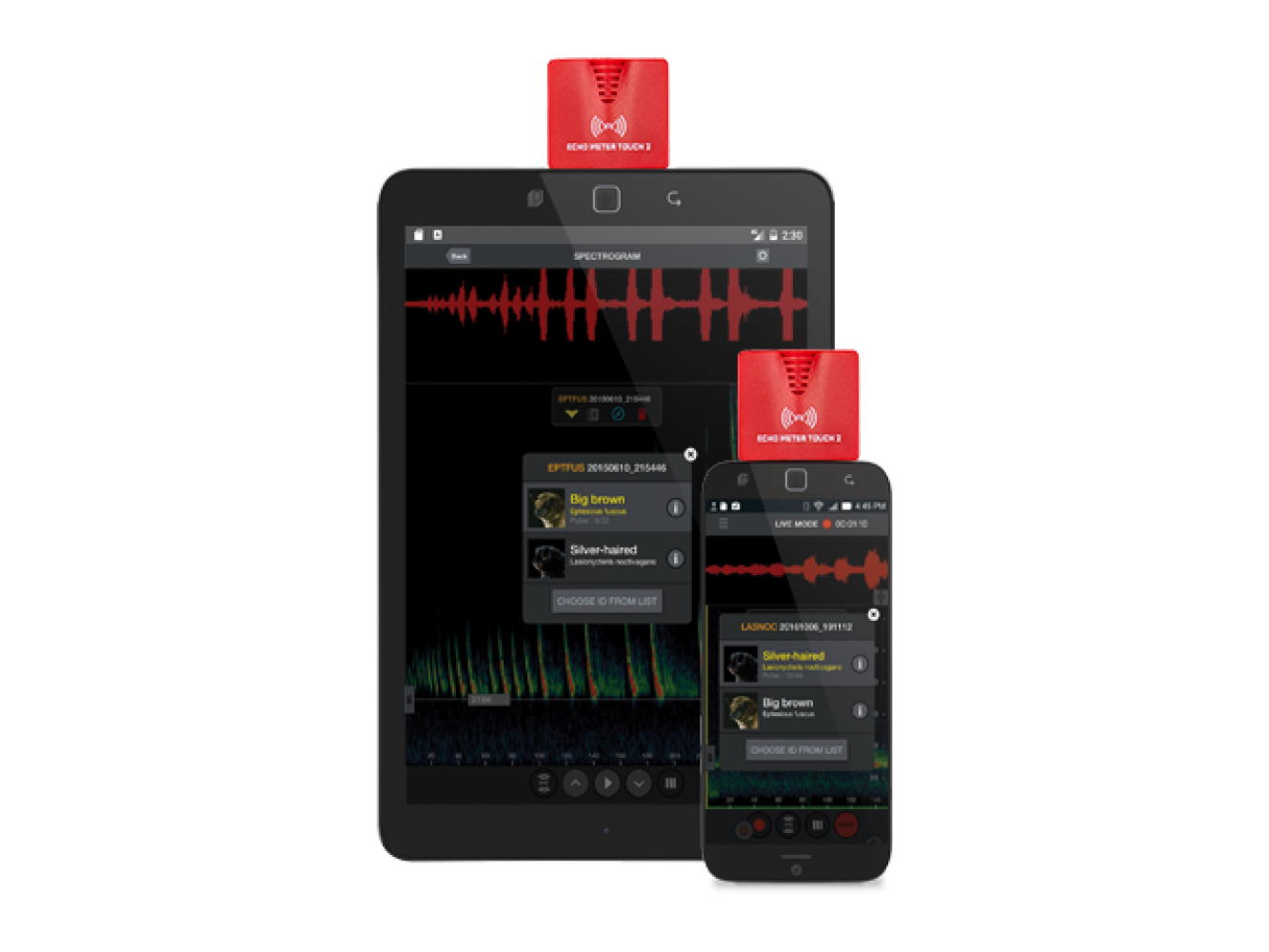 ECHO METER TOUCH 2 USB-C COMPATIBLE CON ANDROID E IOS PARA ESCUCHAR, GRABAR E IDENTIFICAR LOS ULTRASONIDOS DE MURCIÉLAGOS 2