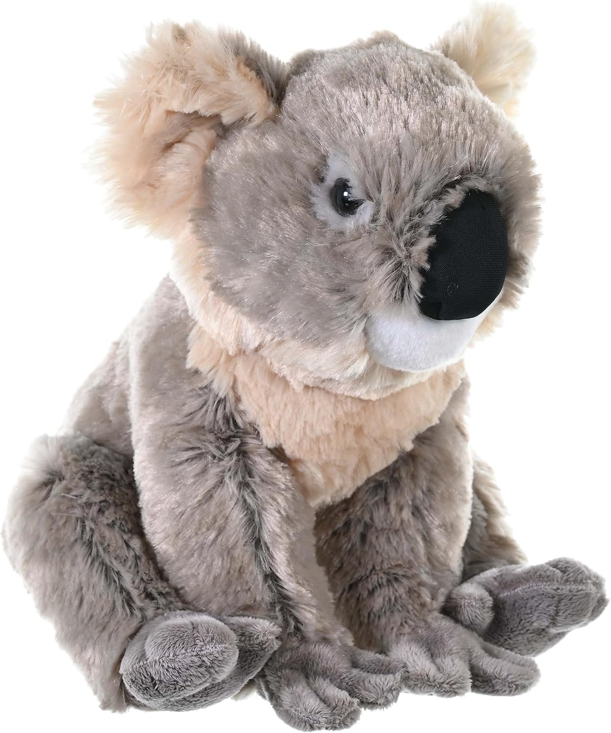 PELUCHE DE KOALA 1