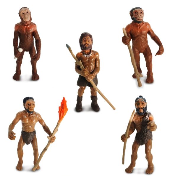 FIGURAS EVOLUCIÓN DEL HOMBRE 2