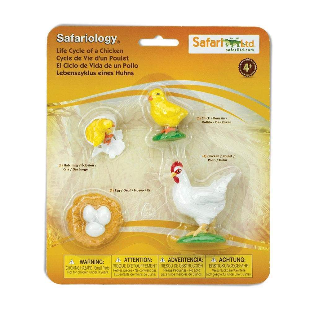 FIGURAS CICLO DE LA VIDA - GALLINA 1