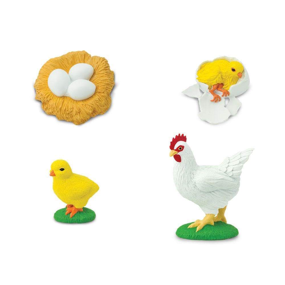 FIGURAS CICLO DE LA VIDA - GALLINA 2
