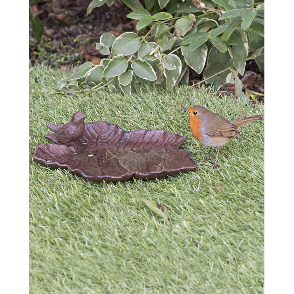 OI-BB COMEDERO-BEBEDERO PARA AVES DE JARDÍN 3