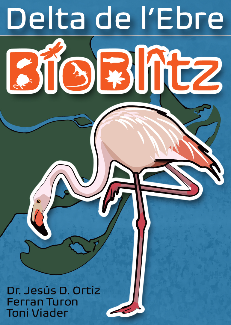BIOBLITZ DELTA DE L'EBRE. JOC DE CARTES 1
