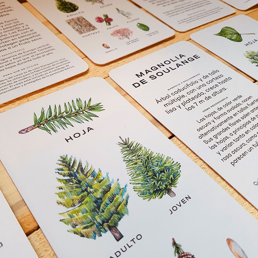 AVISTA EL ÁRBOL. IDENTIFICA 30 ÁRBOLES CON ESTAS CARTAS 3