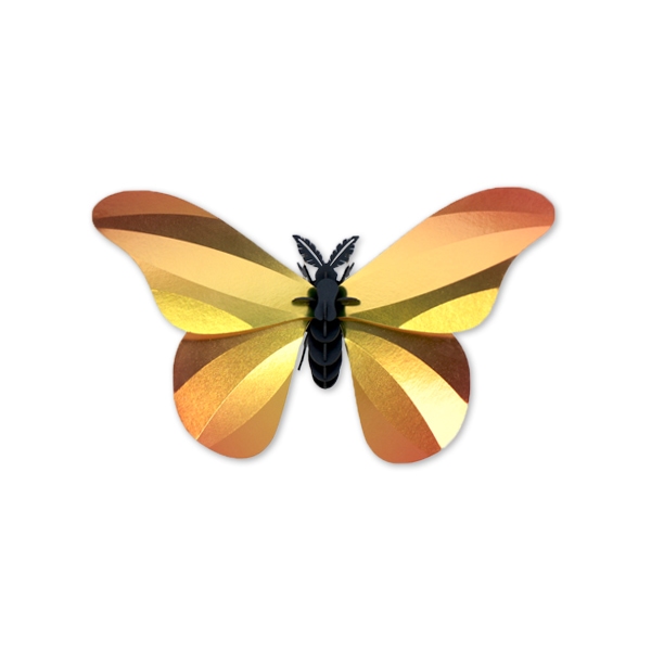 ROMPECABEZAS 3D ENTOMOLOGY PUZZLE - GIANT SILK BUTTERFLY 1