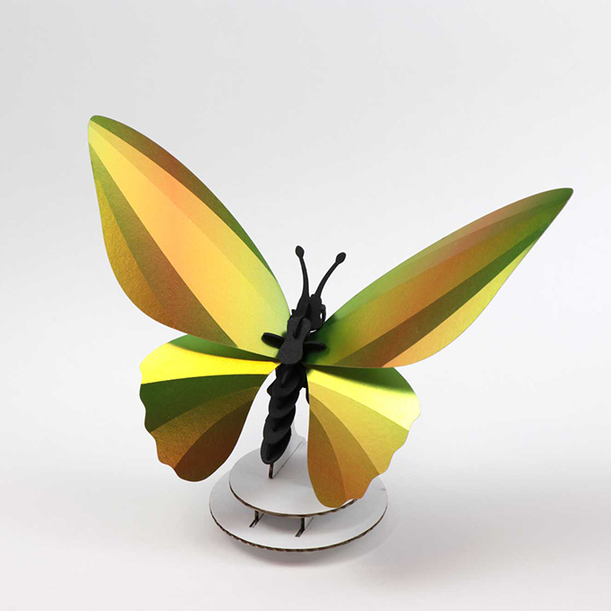 ROMPECABEZAS 3D ENTOMOLOGY PUZZLE - BIRDWING BUTTERFLY 1