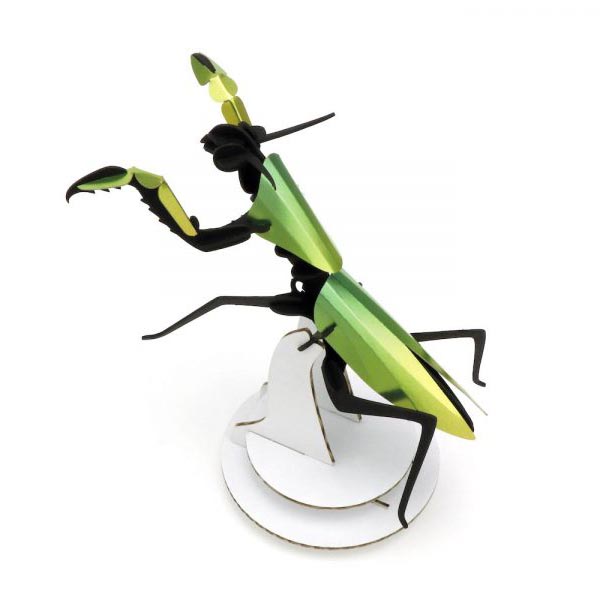 ROMPECABEZAS 3D ENTOMOLOGY PUZZLE - PRAYING MANTIS 1