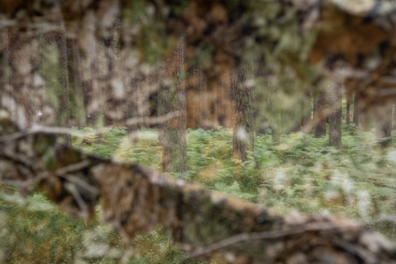 TRAGOPAN LÁMINA 3D DE CAMUFLAJE 1,5X3,5 M 5