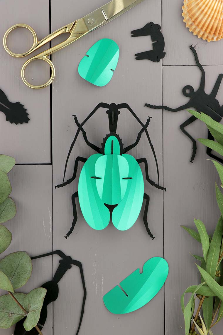 ROMPECABEZAS 3D ENTOMOLOGY PUZZLE - VIOLIN BEETLE 1