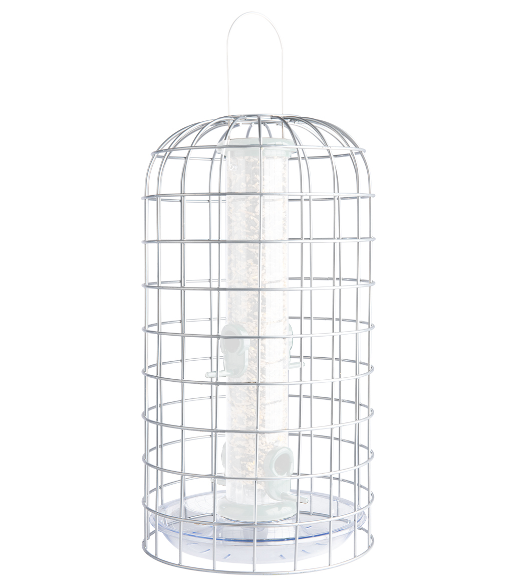 BFG-4 BIRD FEEDER GUARDIANS MEDIANO 1