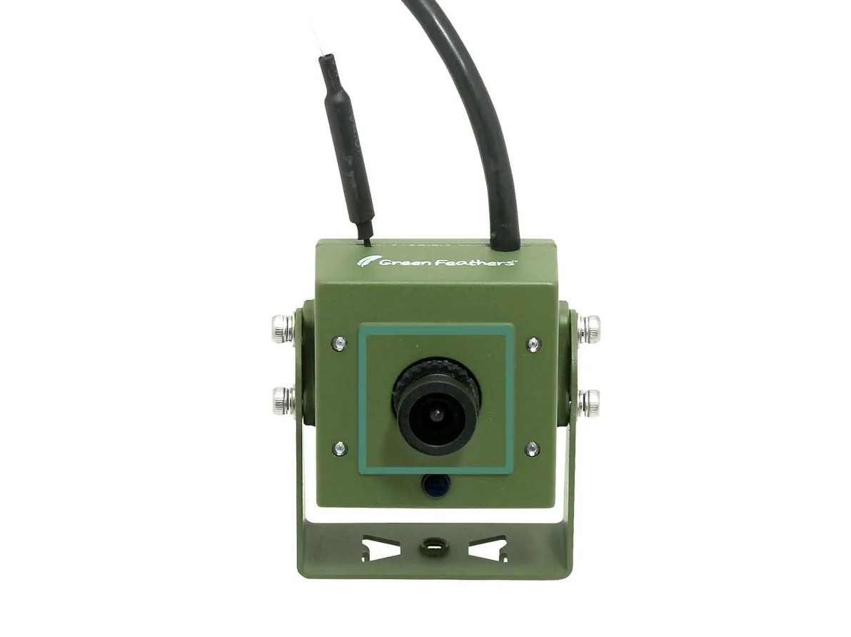 BIRD BOX CAMERA HD CÁMARA A COLOR PARA COLOCAR EN CAJAS NIDO CON CONEXIÓN WIFI 1