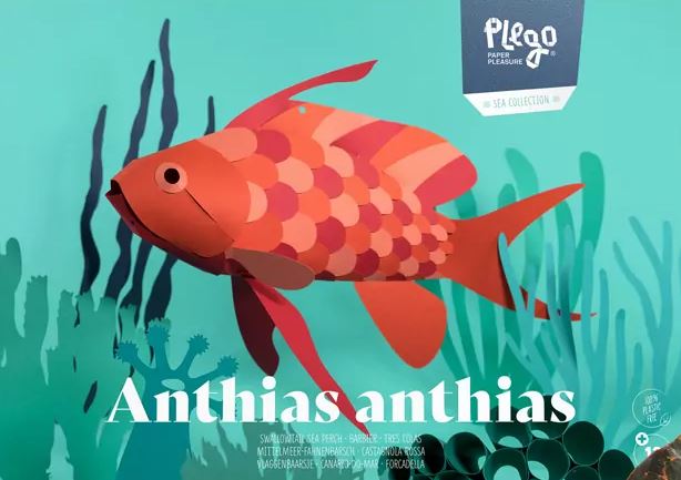 PLEGOPAPER- FIGURA RECORTABLE ANTHIAS ANTHIAS (TRES COLAS - FORCADELLA) 1