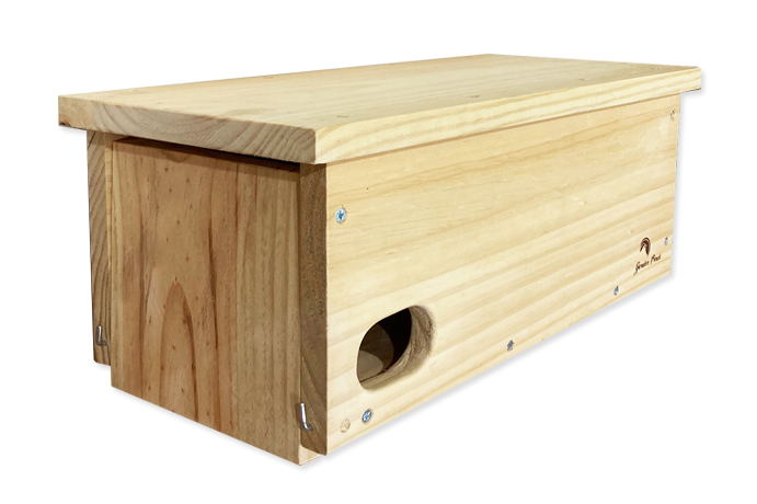 CAJA NIDO DE MADERA PARA VENCEJO BÁSICA 1