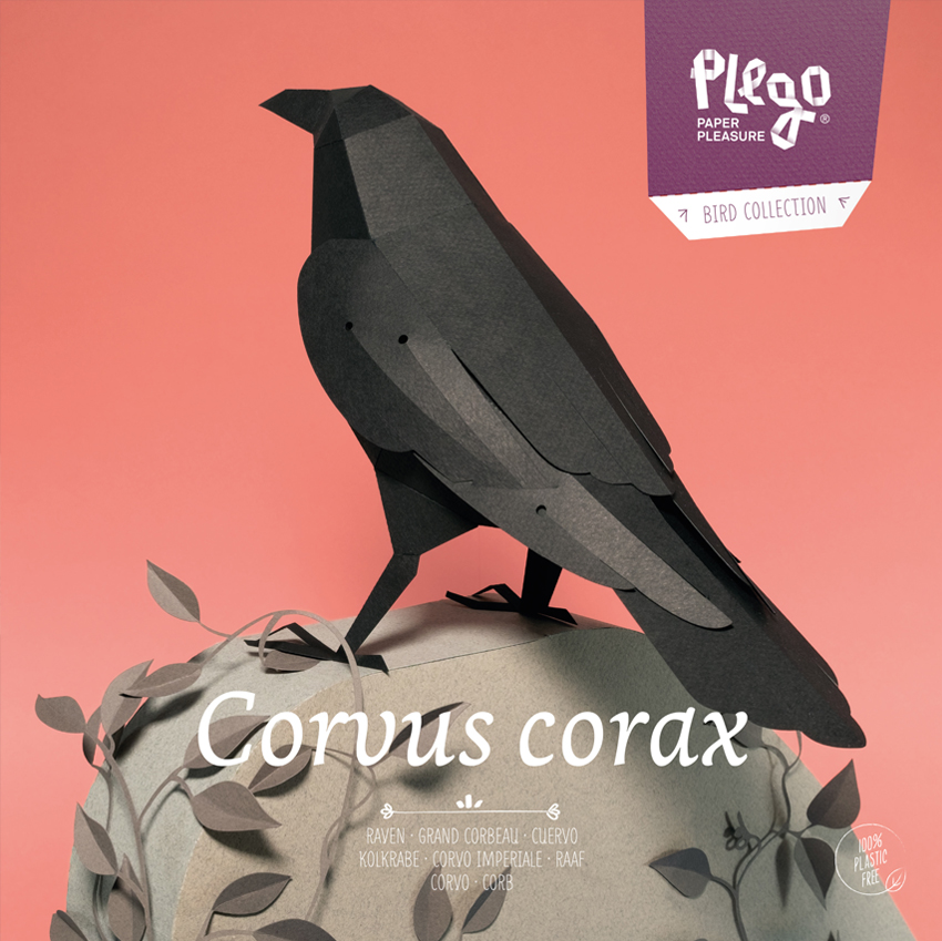 PLEGOPAPER- FIGURA RECORTABLE DE CUERVO (CORB) 1