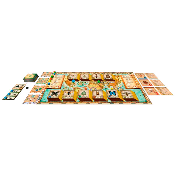 INSECTA, THE LADIES OF ENTOMOLOGY JOC DE TAULA/JUEGO DE MESA 2