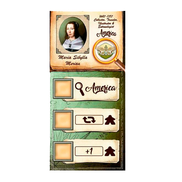 INSECTA, THE LADIES OF ENTOMOLOGY JOC DE TAULA/JUEGO DE MESA 3