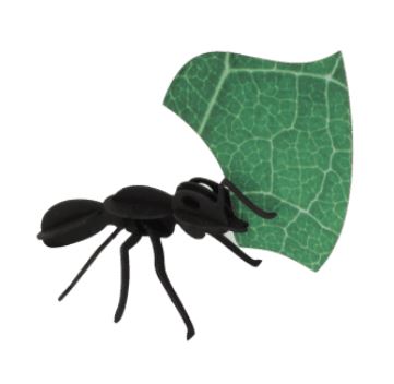 ROMPECABEZAS 3D ENTOMOLOGY PUZZLE - PAPER LEAFCUTTER ANTS 1