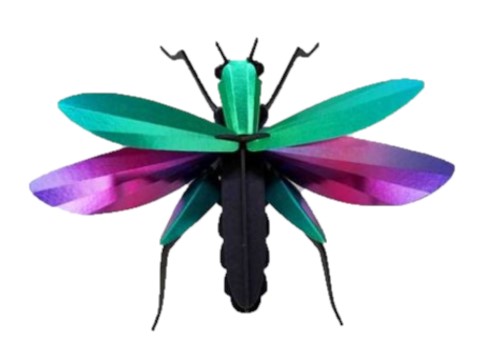 ROMPECABEZAS 3D ENTOMOLOGY PUZZLE - GRASSHOPPER 1