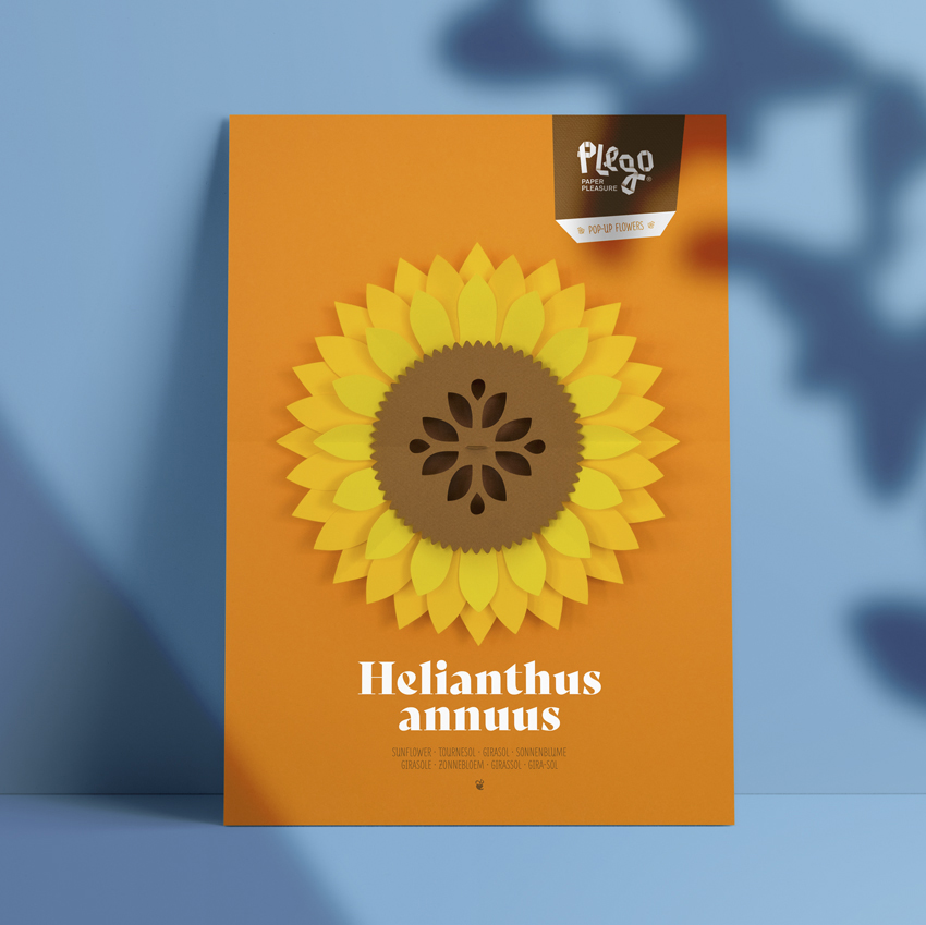 PLEGO POP UP HELIANTHUS ANNUUS (GIRASOL) 1