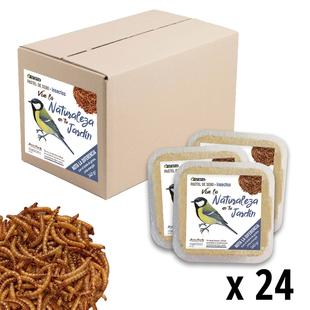 DIF-IN24 CAJA CON 24 UNIDADES DEL PASTEL DE SEBO CON INSECTOS 1