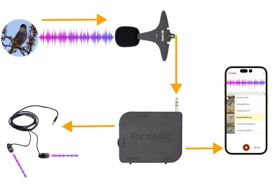 BIRDMIC PACK  MICRÓFONO PARA FAMILIAS 2
