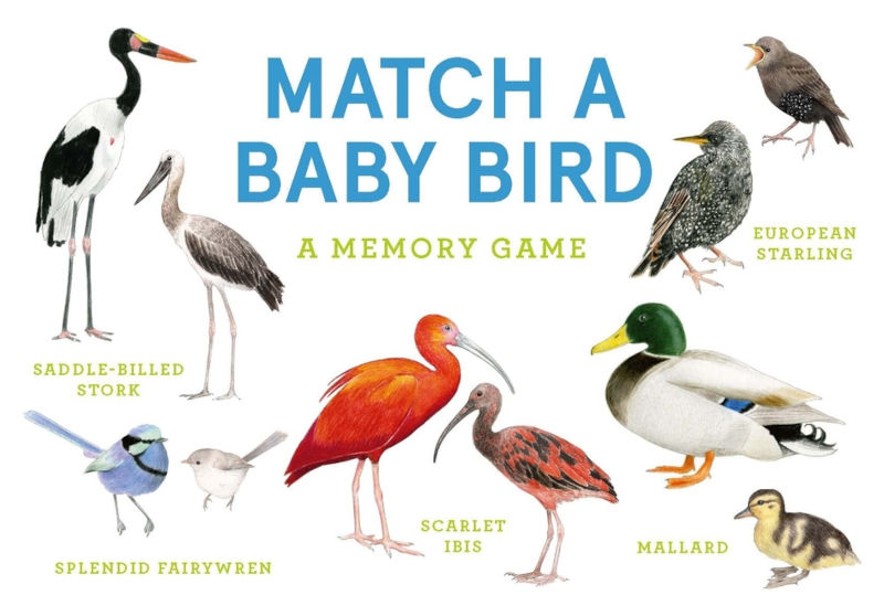 MEMORY: MATCH A BABY BIRD 1