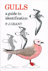 GULLS. A GUIDE TO IDENTIFICATION 1