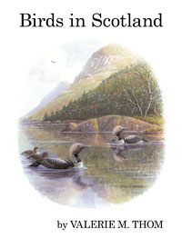 BIRDS IN SCOTLAND 1
