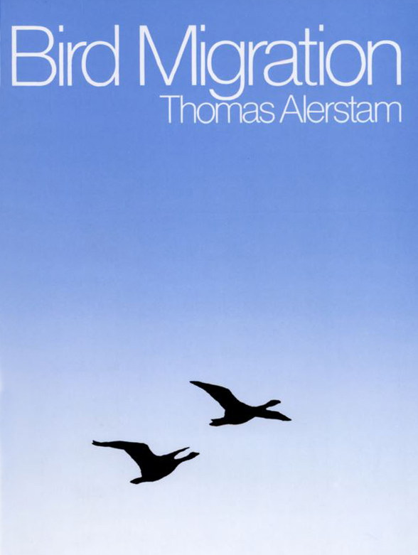 BIRD MIGRATION 1