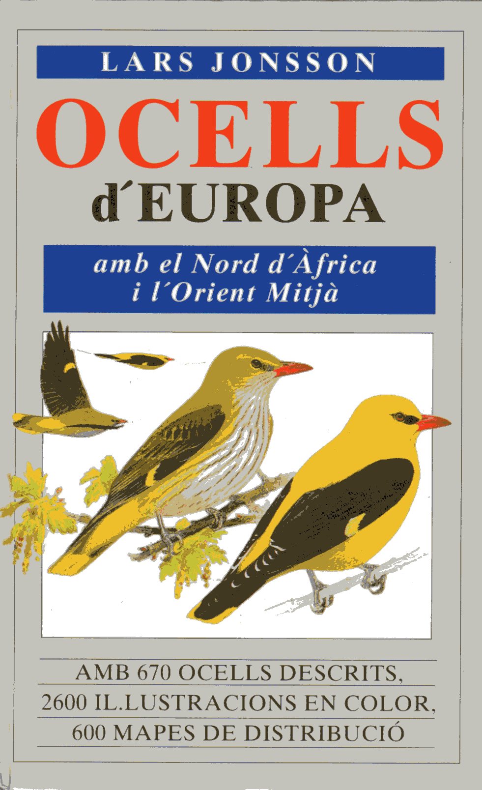 OCELLS D'EUROPA AMB EL NORD D'AFRICA I L'ORIENT MITJA 1
