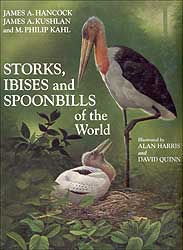STORKS, IBISES AND SPOONBILLS OF THE WORLD 1
