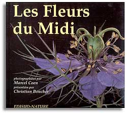 LES FLEURS DU MIDI 1